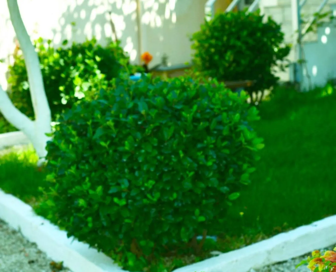 بيت ضيافة Garden Rooms هيماري ألبانيا
