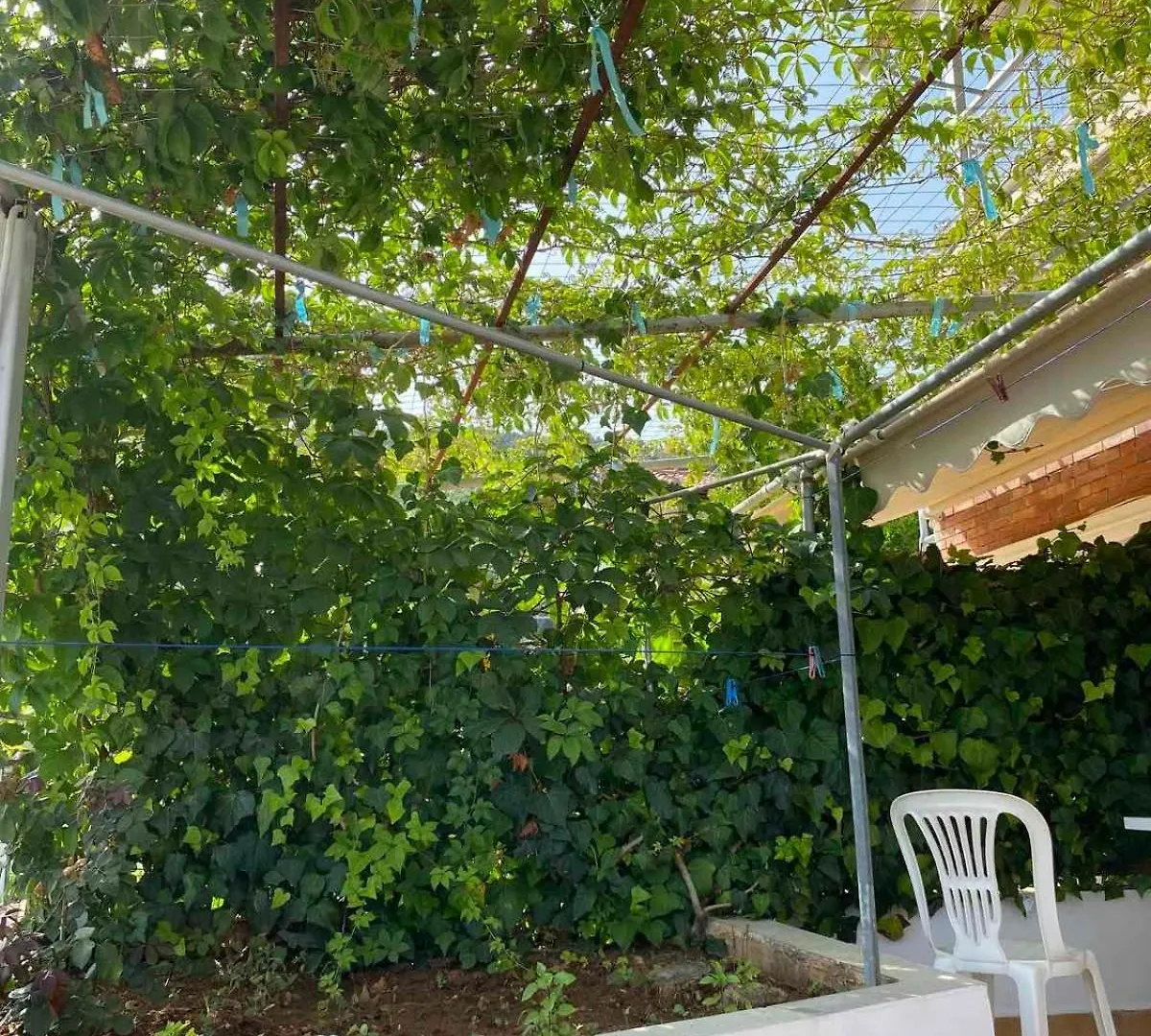 بيت ضيافة Garden Rooms هيماري